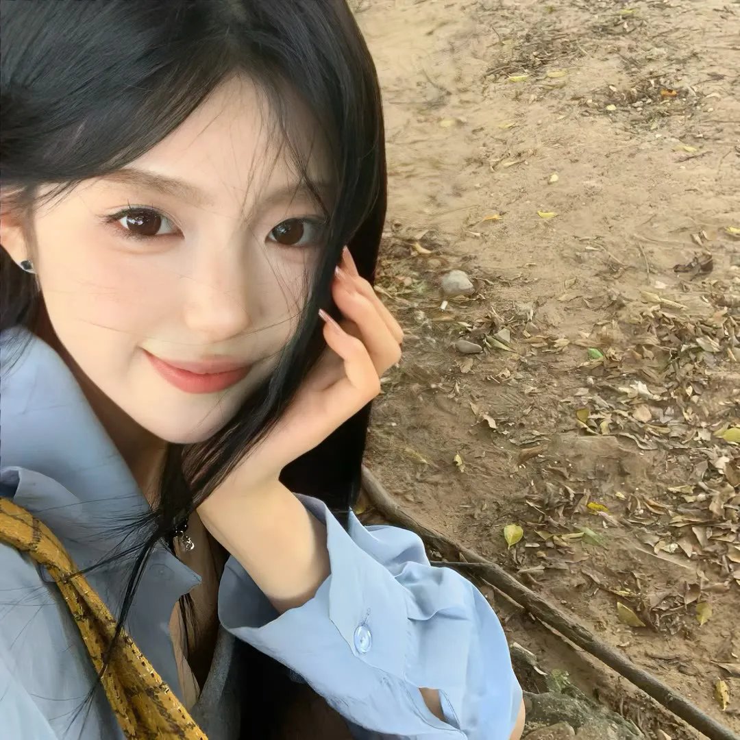 橄榄树之恋